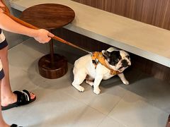 -Again Coffee Roaster(香蜜湖店)