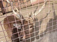 -J Create城市露营咖啡·简餐·宠物(上海动物园店)