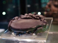 -上海市工艺美术博物馆