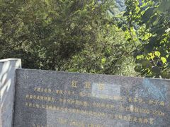 -红豆峡