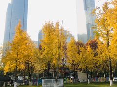 -重庆市江北嘴中央商务区中央公园