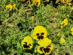 -昆山城市生态森林公园