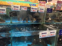 -伊藤洋华堂(温江店)
