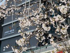 -龙湖南京江北天街