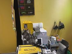 -谜盒子奇幻密室(南屏店)