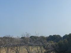 -上海长江河口科技馆