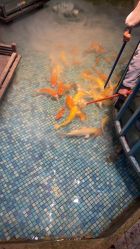 -酷嗒动物文化乐园(cutezoo西溪乐天城店)