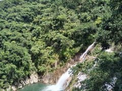 -海南热带雨林国家公园吊罗山景区