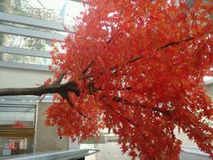 android_upload_pic-百丽宫影城(ifc商场店)