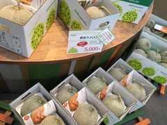 -富田农场