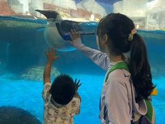 -海合安武汉极地海洋公园