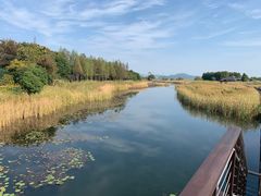 -苏州太湖湖滨国家湿地公园