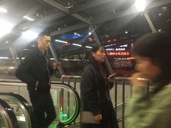 -大龙山(地铁站)