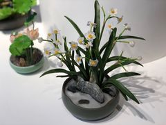 -手工艺活态馆