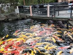 -湖鲜楼
