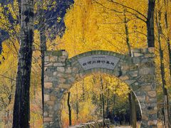 -百里山水画廊