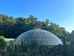 -深圳仙湖植物园