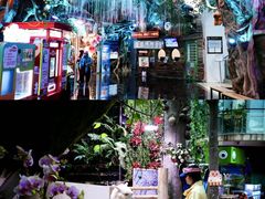 -正佳雨林生态植物园