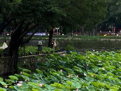 -荔湾湖公园