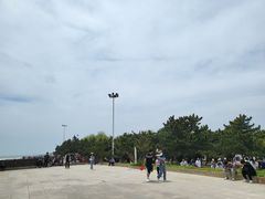 -日照海滨国家森林公园