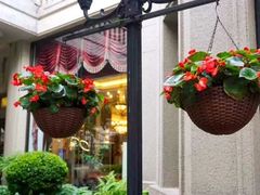 -楚灶王(徐东店)