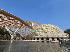 -牛首山文化旅游区