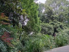 -成都市活水公园