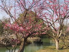 -西溪国家湿地公园