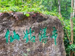 -姑婆山旅游区