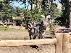 -大连森林动物园