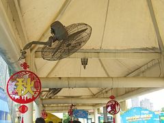 -国色天乡三期陆地乐园