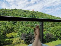 -上海佘山世茂艾美酒店