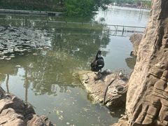 -洛阳市隋唐城遗址植物园