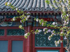 -元大都城垣遗址公园