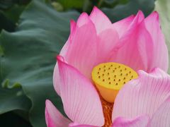 -毛泽东才溪乡调查旧址景区