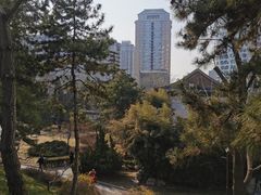 -团结湖公园
