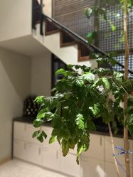 -香秀空间科技抗衰·美容中心