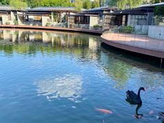 -春晖园度假酒店温泉