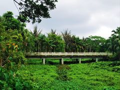 -中澳友谊花园