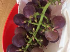 -马陆小张葡萄园农家乐