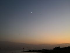 -七的湖·晚芳亭·阳澄湖农家菜·大闸蟹(莲花岛店)