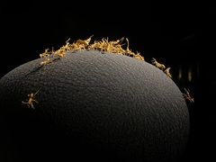 -深圳珠宝博物馆