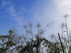 -远山有窑