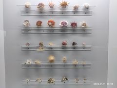 -山东博物馆