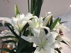 -粤海喜来登酒店·&More聚驿(天河城店)