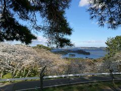 -松岛