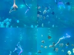 -福州罗源湾海洋世界旅游区