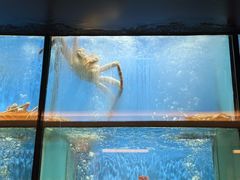 -珍宝海鲜JUMBO Seafood(尚嘉店)