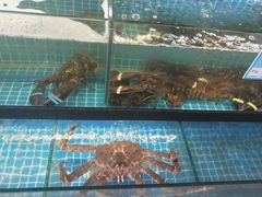 水产区-琼大师东方烤乳猪(亚特兰蒂斯店)