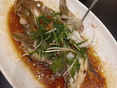 -御同亨酒楼·喜宴